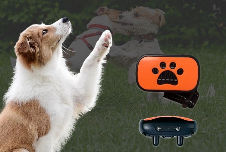 https://fulmo-img-server.com/lu-na-ra/1783130736443_vsgcjl65_xuxdxs1t.jpeg