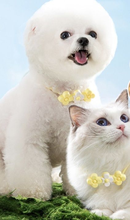https://fulmo-img-server.com/lu-na-ra/1783303341099_2o1fmjhs_53lrg7l5.jpeg