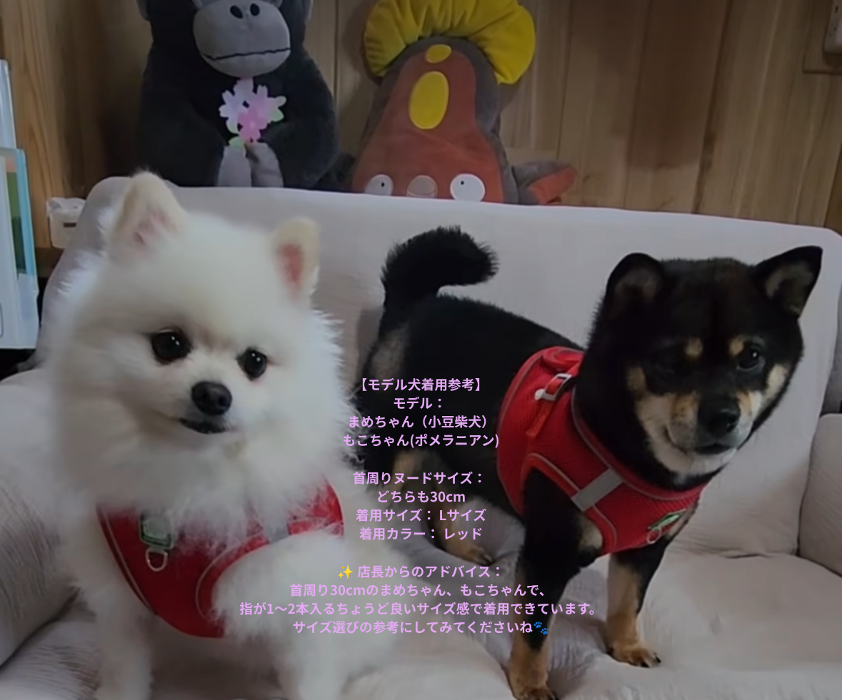 https://fulmo-img-server.com/lu-na-ra/1783513206447_0hi89w3o_ac0ma1rf.png