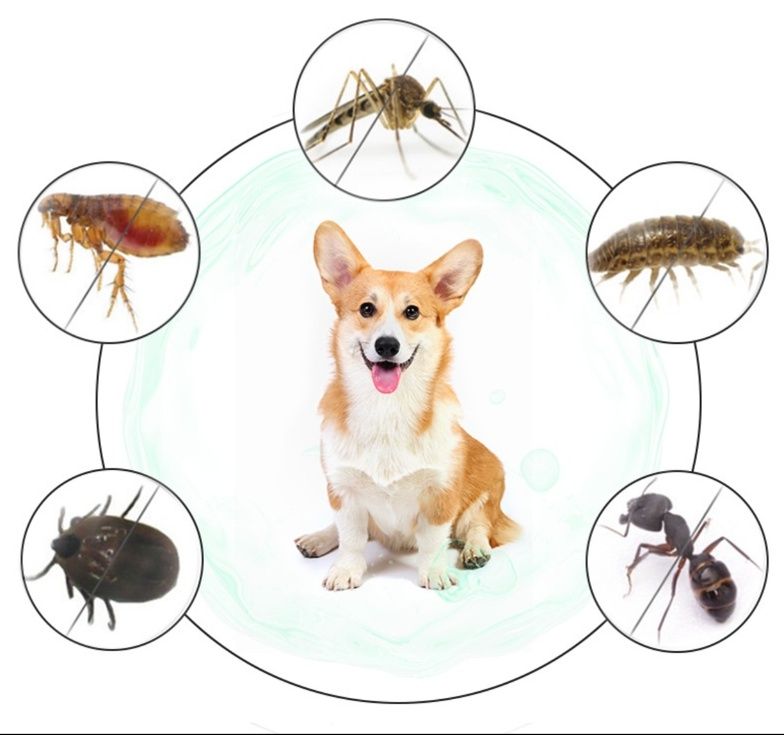https://fulmo-img-server.com/lu-na-ra/1791256437084_hkjolssi_pr9bhy2t.jpeg