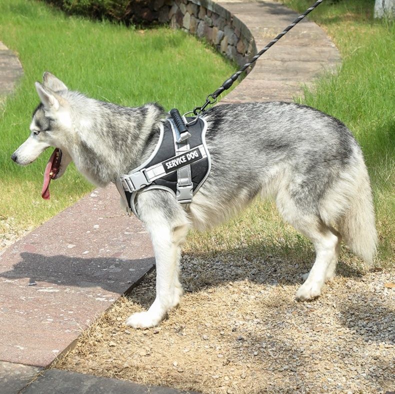 犬首輪 大型犬用衝撃吸収ハンドル付き胸当てハーネス
