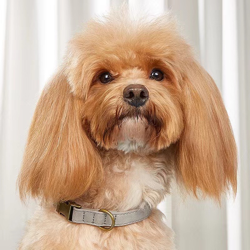 犬首輪 本革スエード調ワンタッチバックル犬首輪