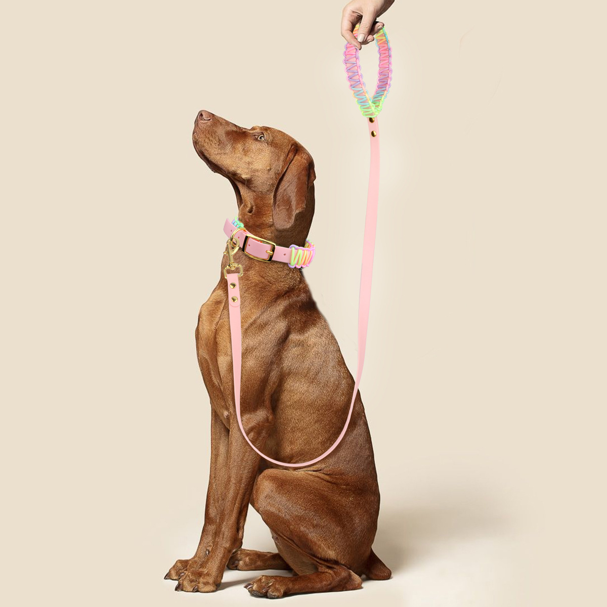 犬首輪 編み込みハンドル付き犬首輪とリードセット