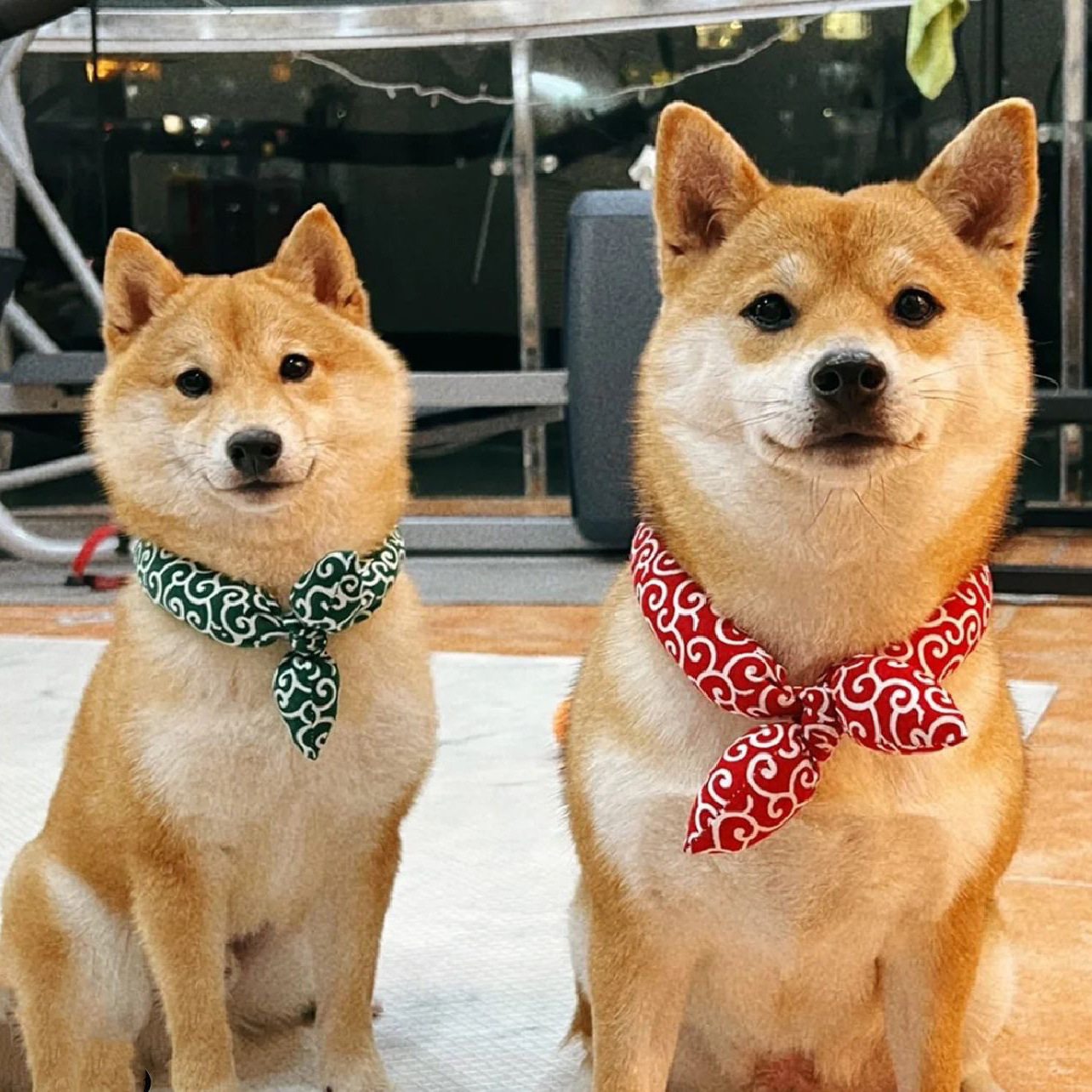 和風唐草模様のスカーフ風犬首輪バンダナ