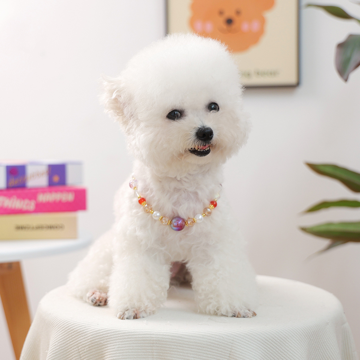 犬首輪 華やか宇宙玉とパール装飾の犬用首輪