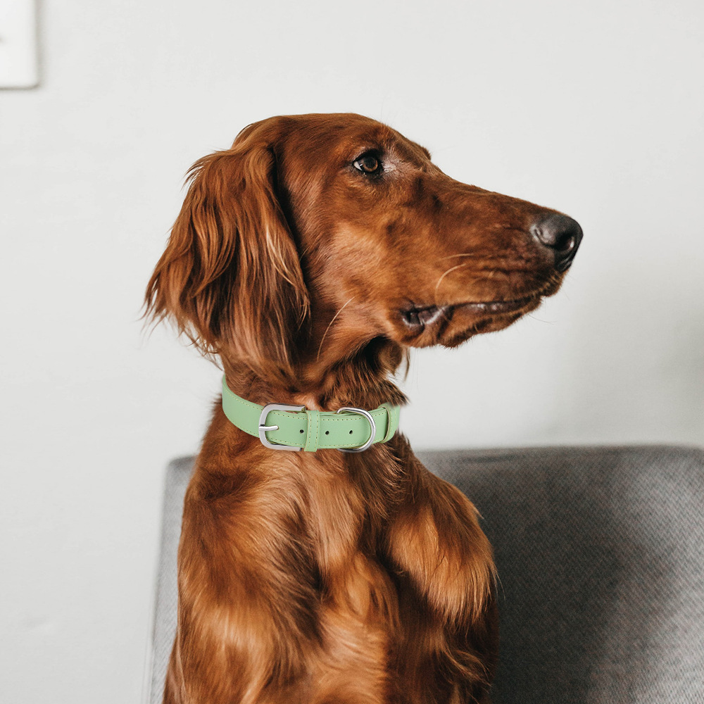 犬首輪 本革仕立てシンプルデザイン