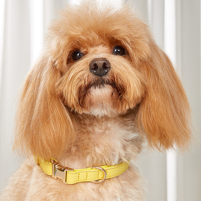 犬首輪 本革仕立て金具付き上質犬首輪