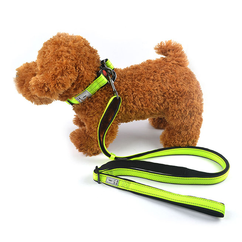 犬首輪 反射素材付き小型犬用首輪とリードのセット