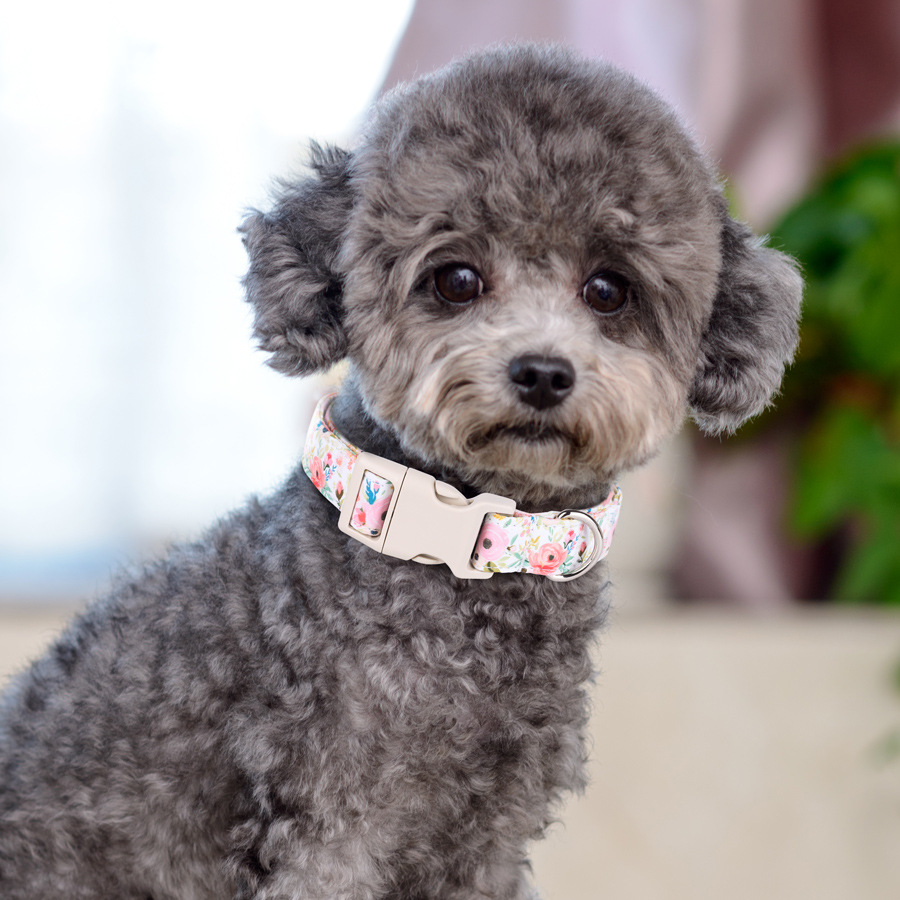 犬首輪 華やか花柄プリント小型犬用首輪