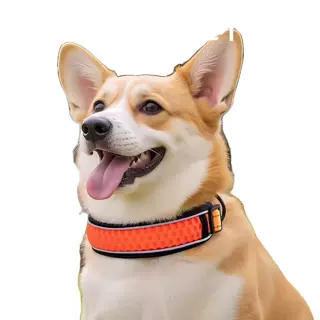 犬首輪 反射材付き太めメッシュ構造犬首輪