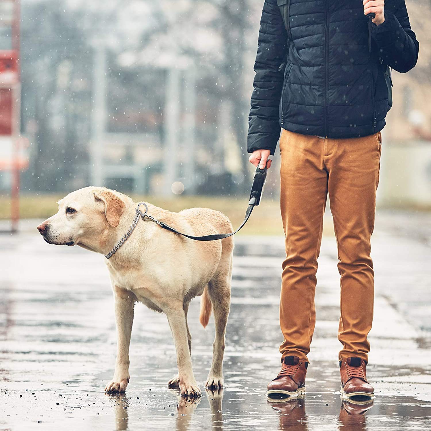 犬首輪 高級感溢れる太目喜平編み犬用首輪チェーン