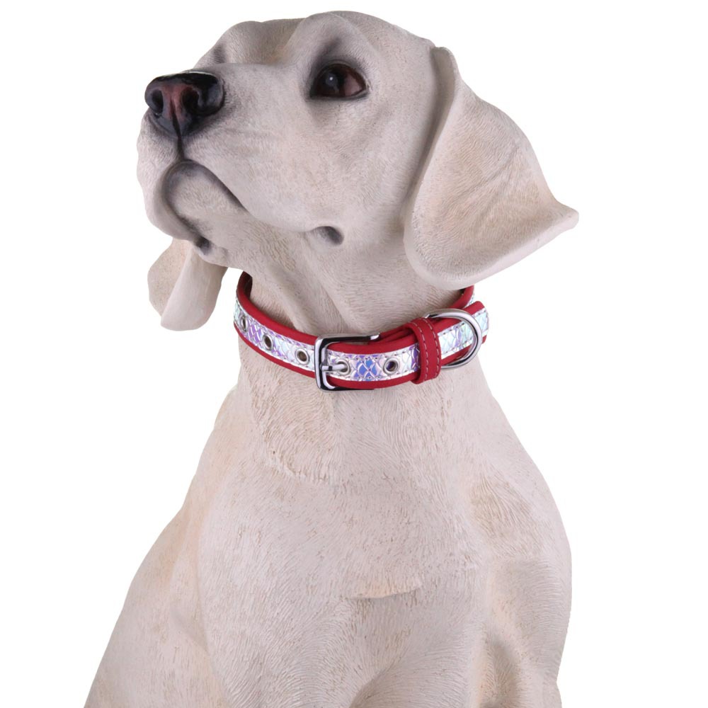 犬首輪 虹色輝きレザー太め犬首輪