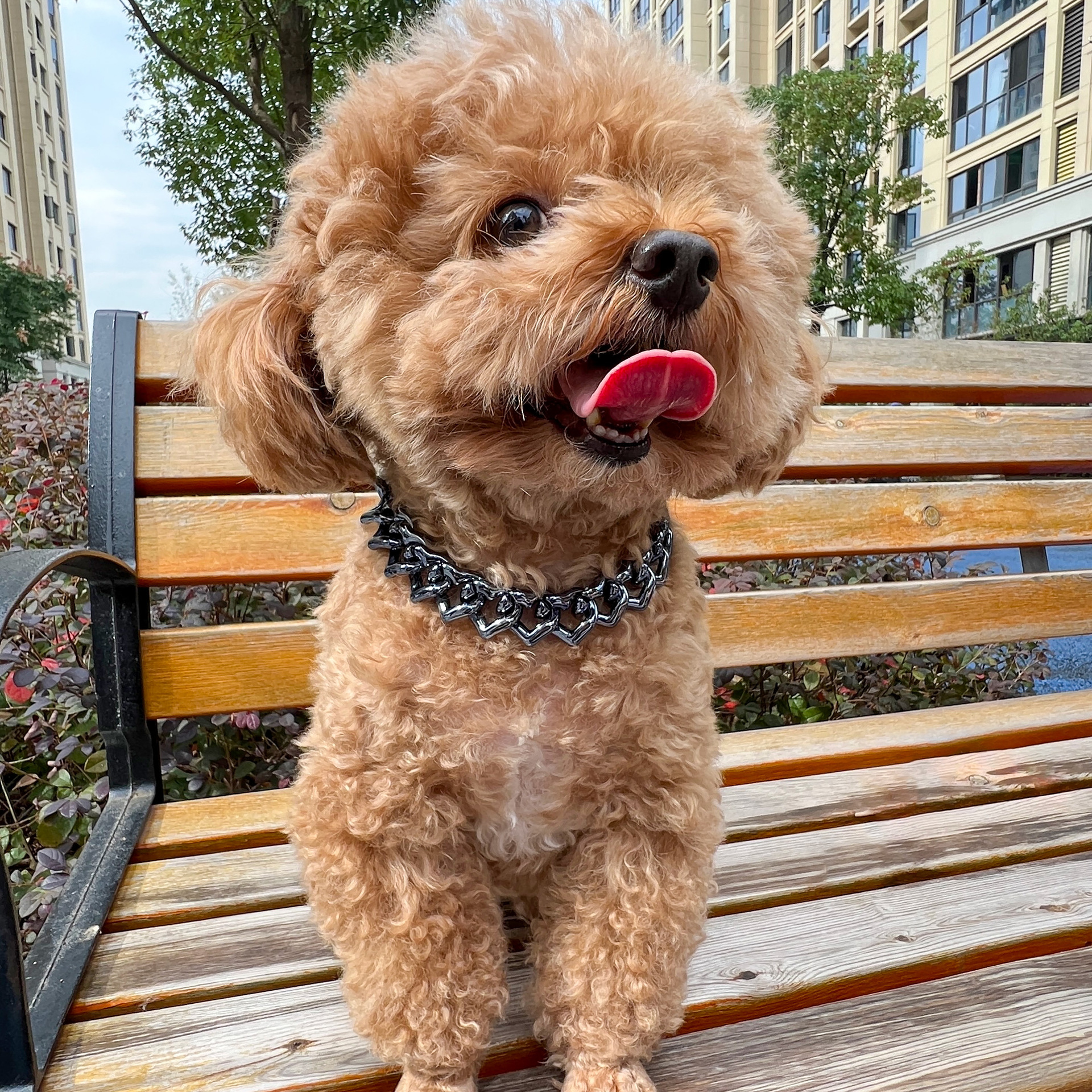 犬首輪 高級感あふれる金属製二連チェーン犬用首輪