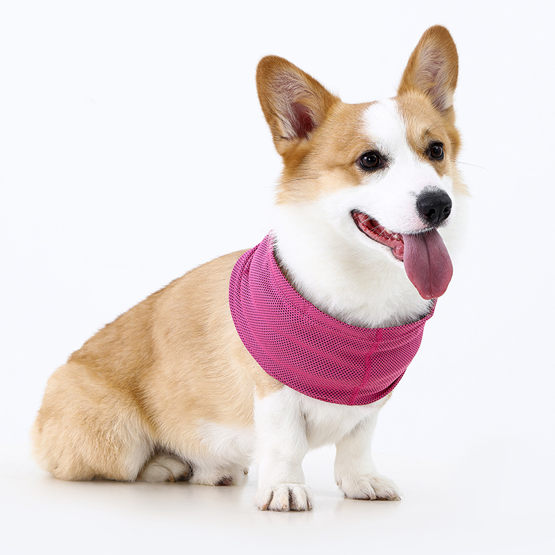 犬首輪 通気性抜群メッシュ素材の犬首輪バンダナ