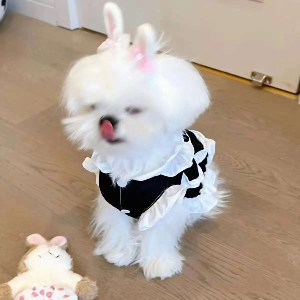 メイド服 ふわもこ愛犬用メイドコスチューム