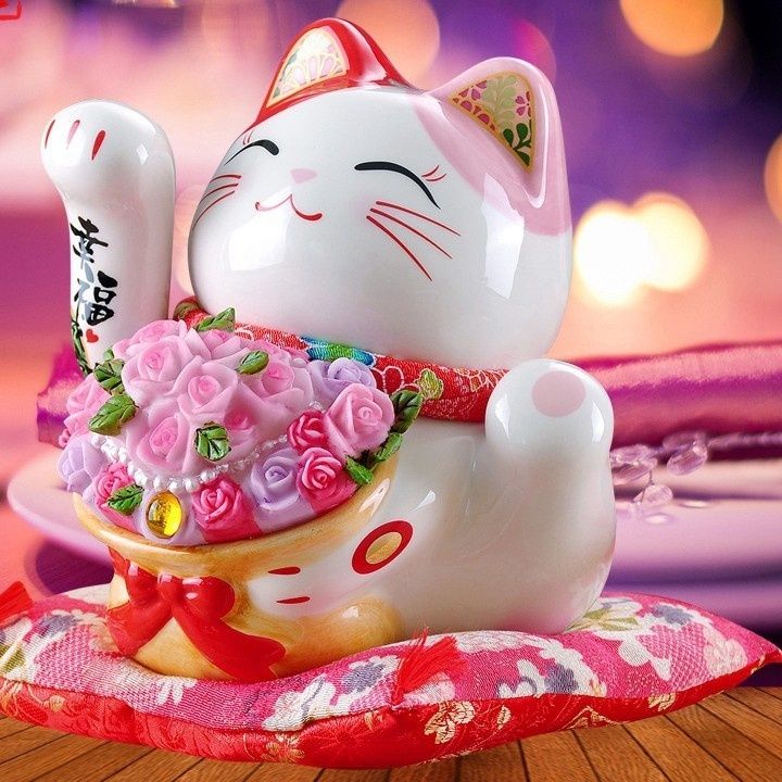 https://fulmo-img-server.com/manekidou/1788765579942_wd7guteg_lq6pkg2r.jpeg