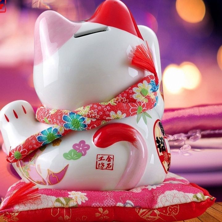 https://fulmo-img-server.com/manekidou/1788765590348_084iga1o_uq35z62d.jpeg