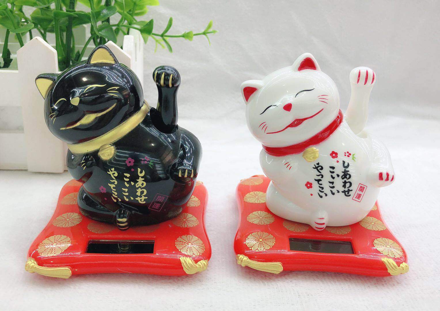 https://fulmo-img-server.com/manekidou/f9422fd9-db6b-4f3a-8bb1-b4b04dd08a14.jpg