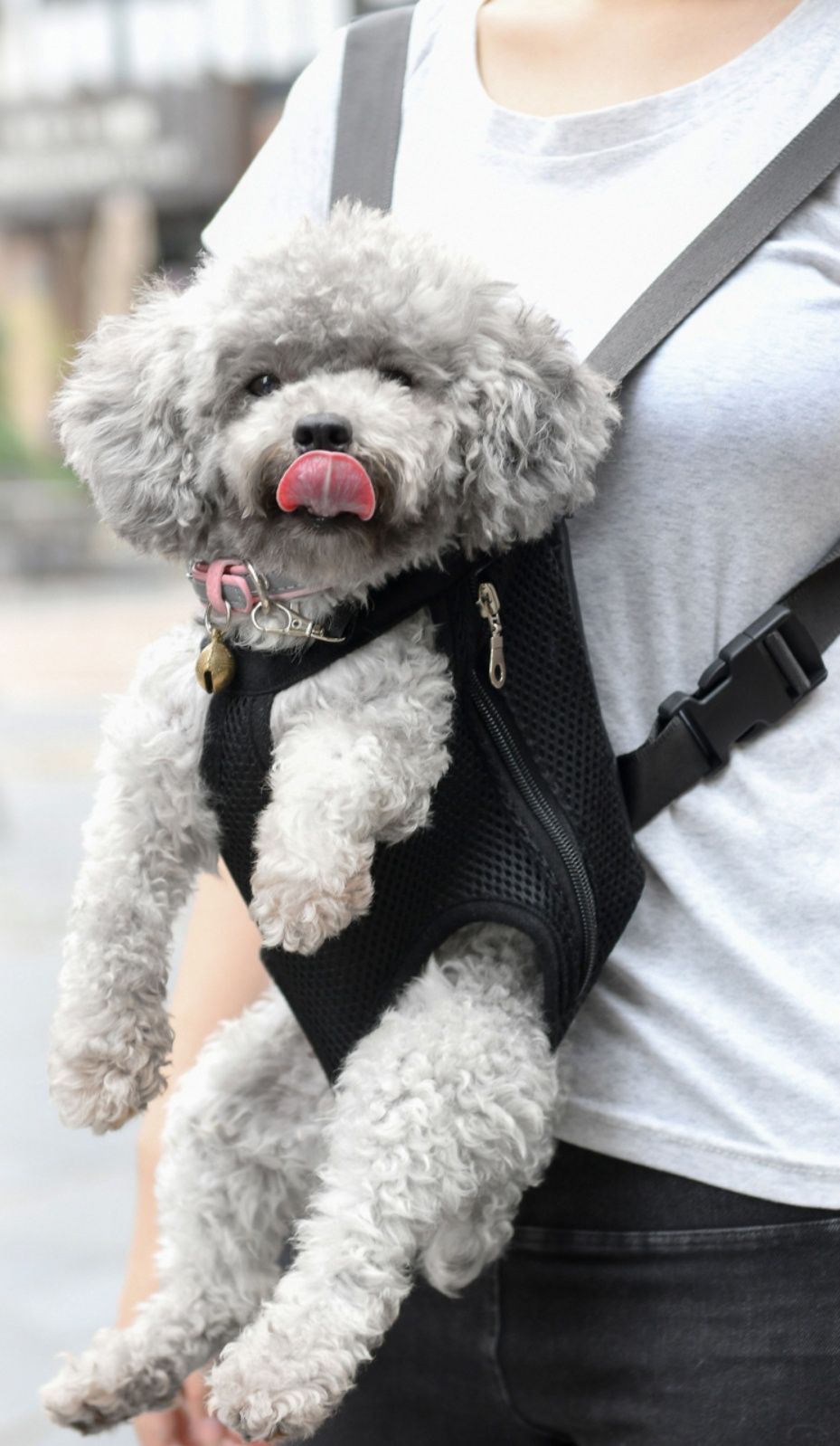 犬キャリーバッグ 小型犬用前抱きメッシュ肩掛け抱っこ紐