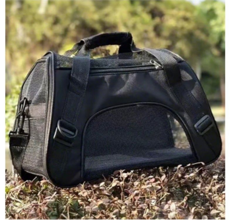 https://fulmo-img-server.com/maplecarry/1782104327873_dp6xnysi_1pnr88qp.jpeg