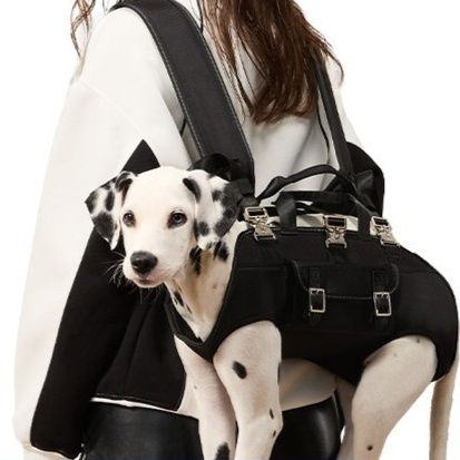 小型犬用両肩掛け対応犬キャリーバッグ