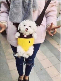 小型犬用前抱き両手フリー犬キャリーバッグ