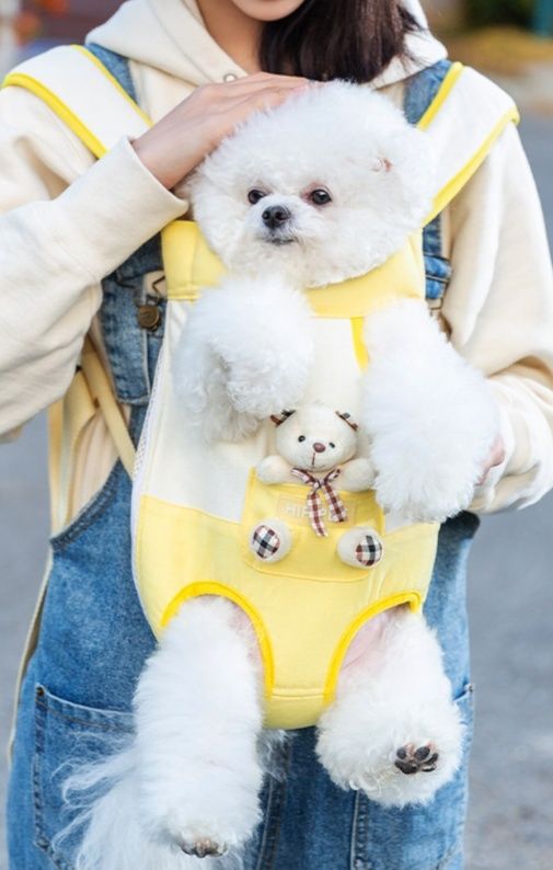 くまのぬいぐるみ付き抱っこ式犬キャリーバッグ