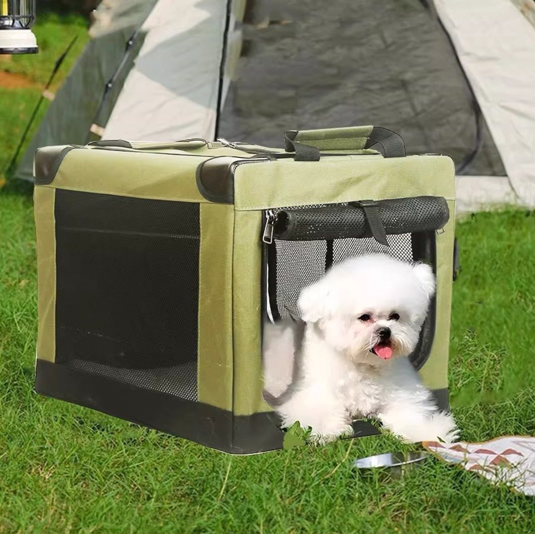 https://fulmo-img-server.com/maplecarry/1785475736905_fpimbyx7_kzzlzzea.jpeg