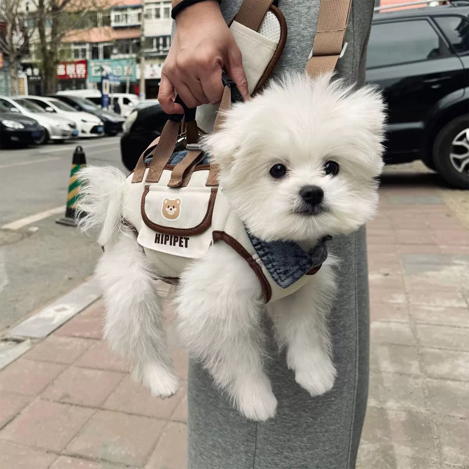 犬キャリーバッグ持ち運び 小型犬用バッグ型ハーネス付き