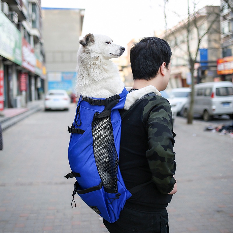 https://fulmo-img-server.com/maplecarry/7463020c-782f-44c1-9452-28e2184ef192.jpg