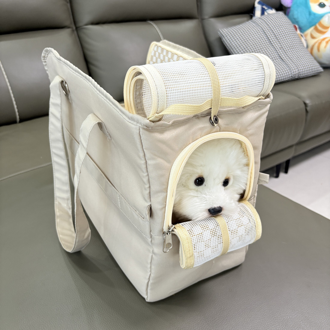 https://fulmo-img-server.com/maplecarry/977c39e1-8d04-4c86-94a5-4ba6d760493a.jpg