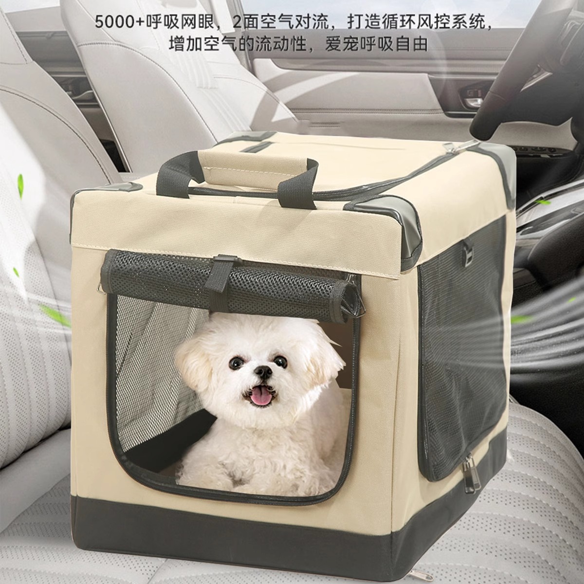 https://fulmo-img-server.com/maplecarry/e34edaac-ee73-42f4-b378-d0f6ddd13e03.jpg