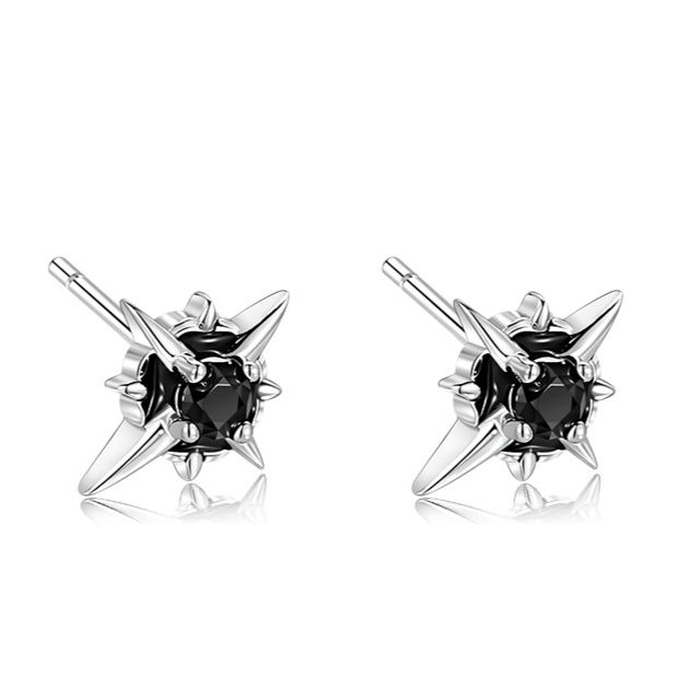 メンズアクセサリー 輝星の導き ピアス