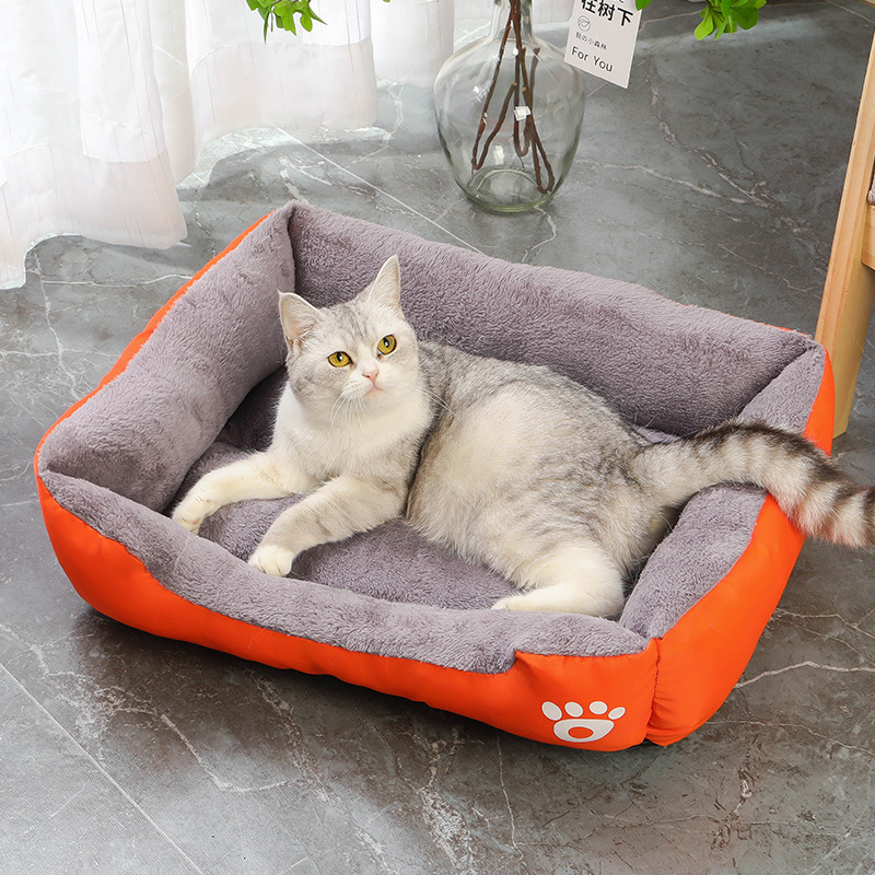 https://fulmo-img-server.com/meownest/0ad6133b-684c-4d29-bcbd-4cbc92e08d53.jpg