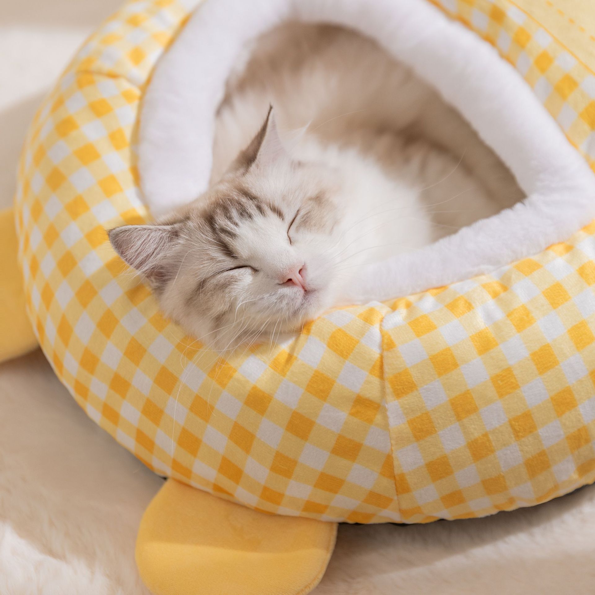 https://fulmo-img-server.com/meownest/0dd3f38f-e800-40de-bf5e-40b53fa41da3.jpg