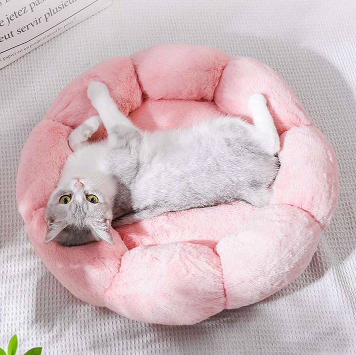 https://fulmo-img-server.com/meownest/1728837355497_mbdghsgj_cropped.jpg