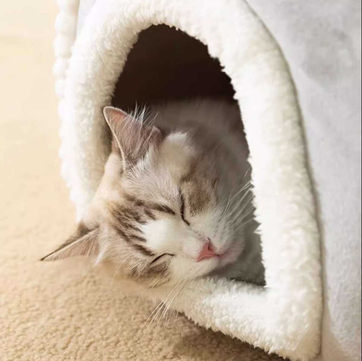 猫用のおすすめベッド29選！最適な猫ベッドの選び方から手入れのポイントを解説