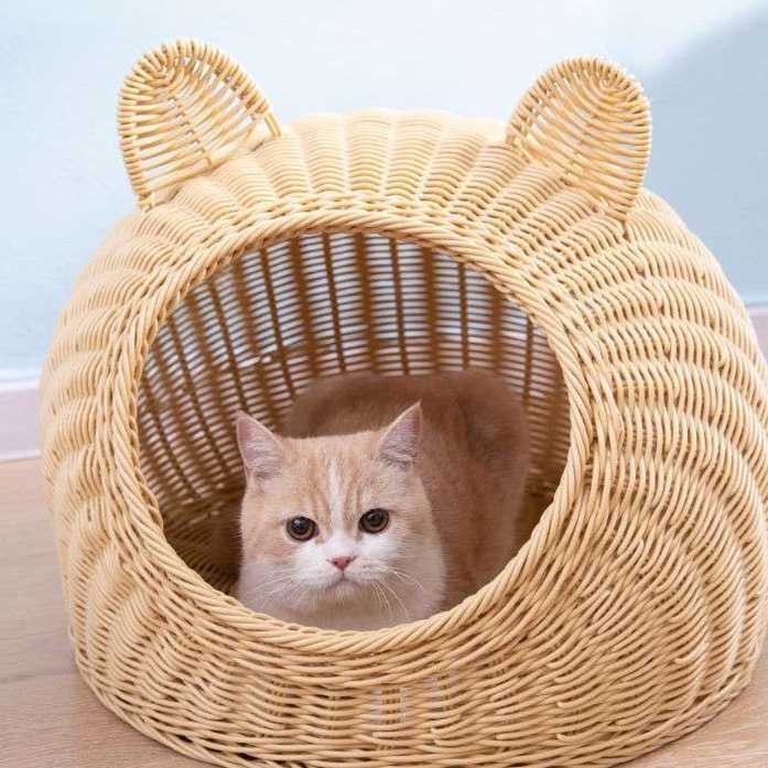 冬用