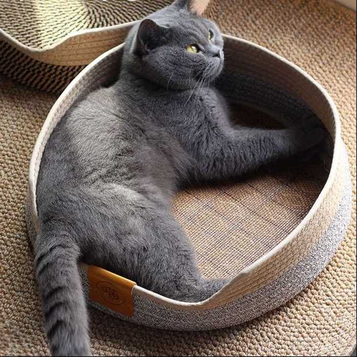 本当の幸せが見つかる！猫ベッドいらない派も納得の猫用寝床5選