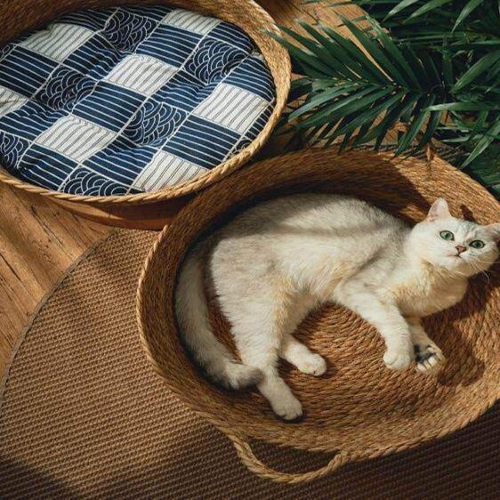 https://fulmo-img-server.com/meownest/1779655483418_95coxrlq_tctcpefi.jpeg