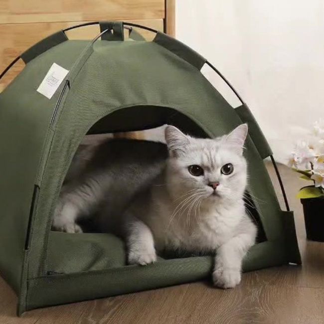 https://fulmo-img-server.com/meownest/1779655660918_u9t26rgo_u3569g8o.jpeg