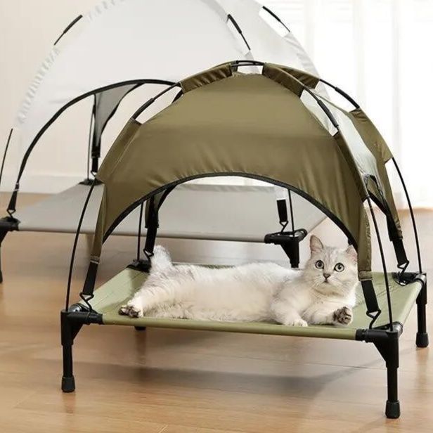 https://fulmo-img-server.com/meownest/1779655745124_15e4tm4n_5zsx22l8.jpeg