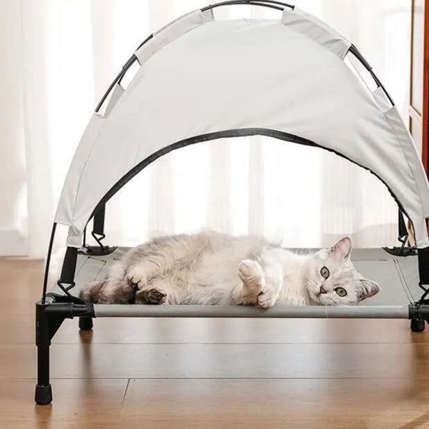https://fulmo-img-server.com/meownest/1779655758649_34flix55_fex8fpdg.jpeg
