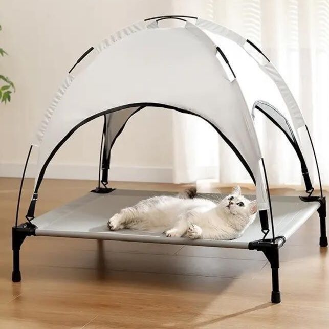 https://fulmo-img-server.com/meownest/1779655765357_5f6cfmjd_8bah0clm.jpeg