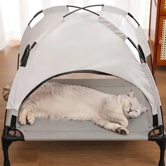 https://fulmo-img-server.com/meownest/1779655773731_tc40rh66_qih4d1ad.jpeg