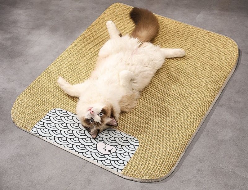 https://fulmo-img-server.com/meownest/1783483726918_z8gl5bx7_gie5i30a.jpeg