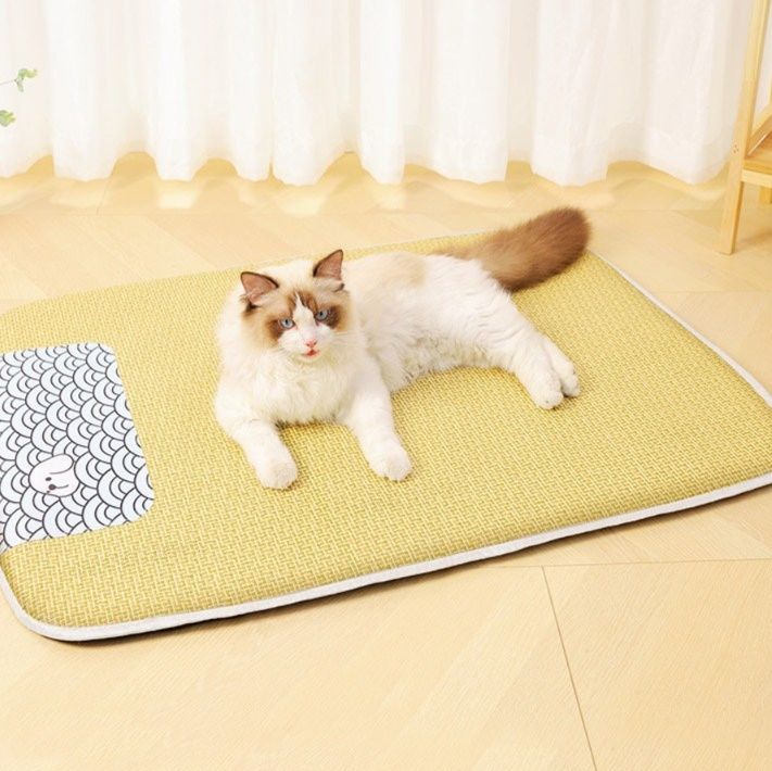https://fulmo-img-server.com/meownest/1783483758510_g3kbslb5_gc3f641n.jpeg