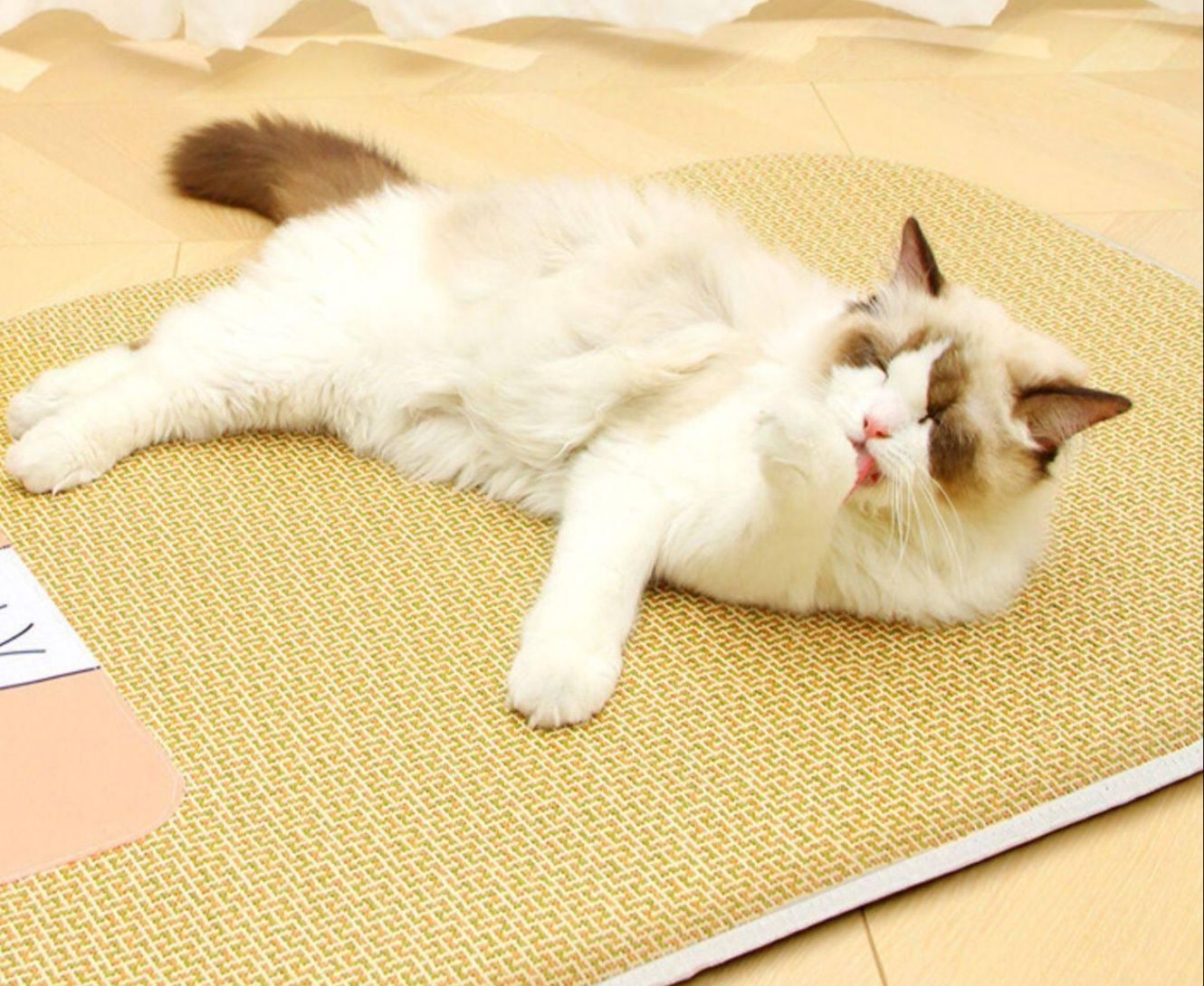 https://fulmo-img-server.com/meownest/1783483775948_kh1ifnxj_vdkyjrwu.jpeg