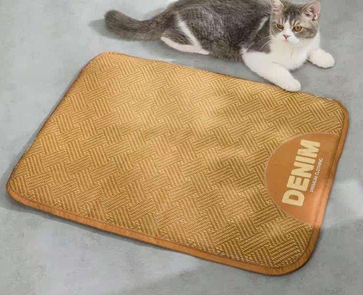 https://fulmo-img-server.com/meownest/1783484562689_1cdtzpkb_6u47umyt.jpeg