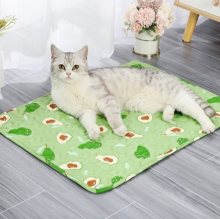 https://fulmo-img-server.com/meownest/1783484758173_miq105sb_eyghtdes.jpeg